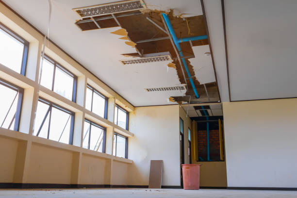 Best Water damage cleanup near me  in Old Saybrook Center, CT