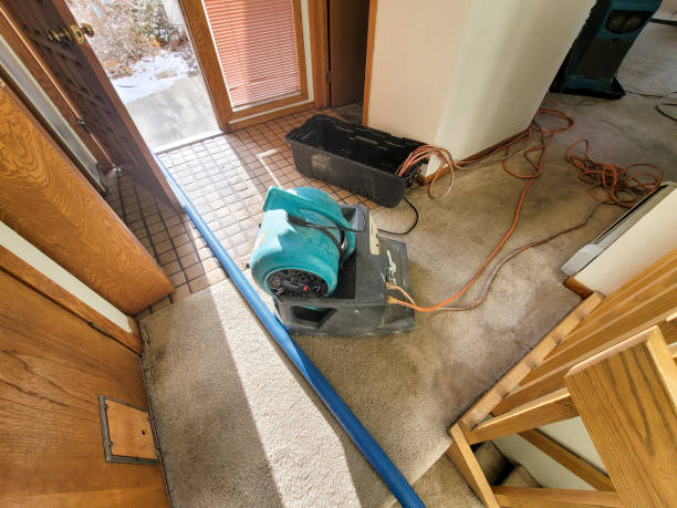 Best Local water damage restoration  in Old Saybrook Center, CT