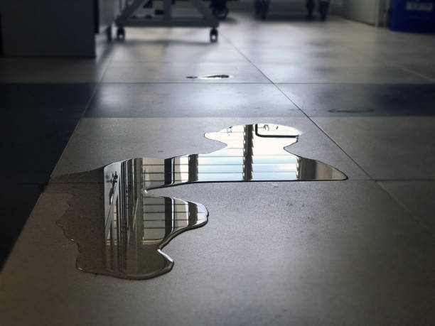 Best Water damage cleanup near me  in Old Saybrook Center, CT