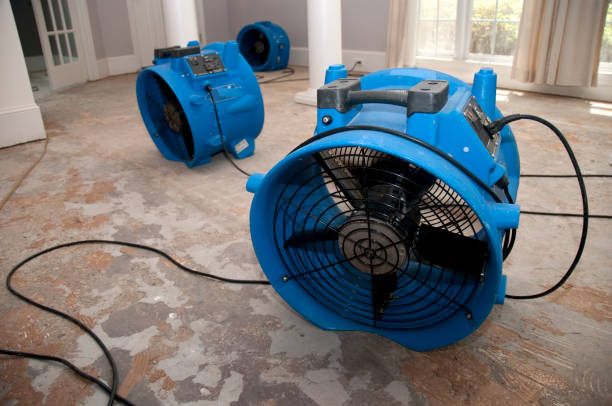 Best Water damage restoration near me  in Old Saybrook Center, CT